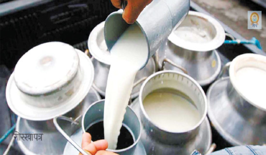 भारतमा दूधको मूल्य बढेपछि नेपाली किसानले पाए बजार