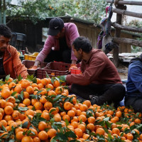 धादिङमा माटोको ढिस्कोले पुरिएर घाइते दुई जनाको उद्धार