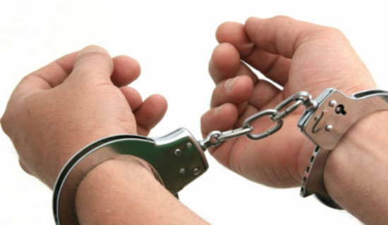 दल र उम्मेदवारका ‘एजेन्डा’माथि मतादाताको चासो