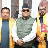 मधेशले कांग्रेस र प्रजातन्त्रलाई लगाएको गुण भुल्न सकिँदैन : सभापति थापा