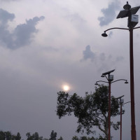 पशुमा आमखोप अभियानको तयारी