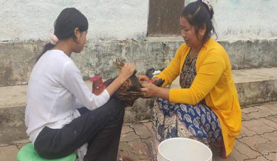 युवापुस्ताले खोजेको परिवर्तन