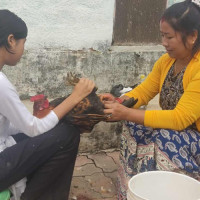 शवगृहबाट लास अदलबदल, कारबाहीको माग