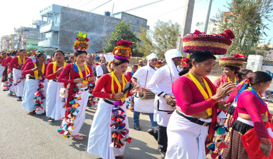 थारूबहुल क्षेत्रमै थारू उम्मेदवार उपेक्षित