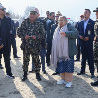 बलियो रुख नपाएर ‘क्यानोपी’ अलपत्र