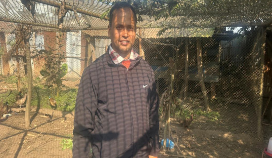 कालिज पालेर मासिक एक लाखभन्दा बढी आम्दानी