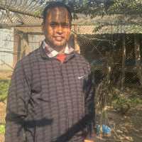 एक तोला सुनको मूल्य तीन लाख नौ हजार तीन सय