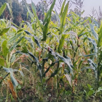 ‘ब्लु हिल’मा धमाधम पर्यटकीय पूर्वाधार निर्माण गरिँदै