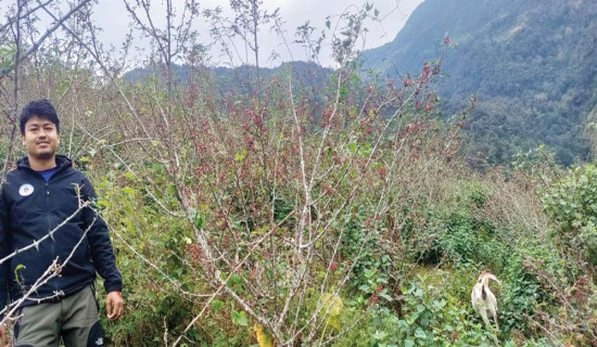 कानुन अध्ययनमा आकर्षण