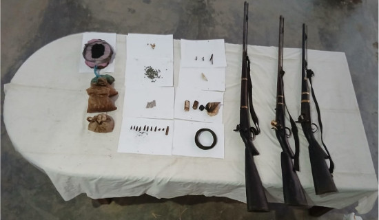 तीन नाल भरुवा बन्दुकसहित दुई पक्राउ