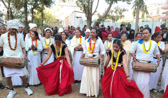 नच्नौरीसँगै माघ विदाइ गर्दै थारू समुदाय