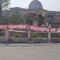 टिमुरको आम्दानी बाह्र करोडभन्दा बढी