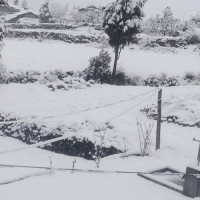 टिमुरको आम्दानी बाह्र करोडभन्दा बढी