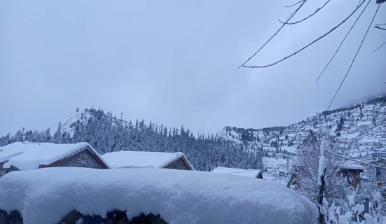 यस्तो छ आजका लागि निर्धारण गरिएको विदेशी मुद्राको विनिमयदर