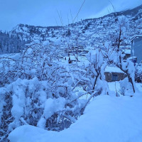 अबको रूपान्तरण हरित अर्थतन्त्रमा