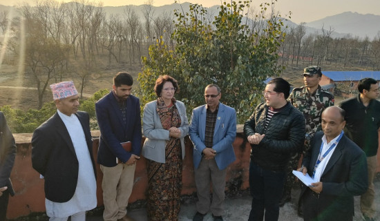 महोत्तरीमा जेनजीको राजनीतिक प्रवेश, आठ युवा उम्मेदवार