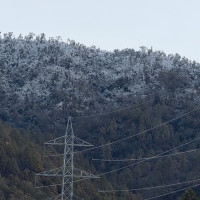 महोत्तरीमा जेनजीको राजनीतिक प्रवेश, आठ युवा उम्मेदवार