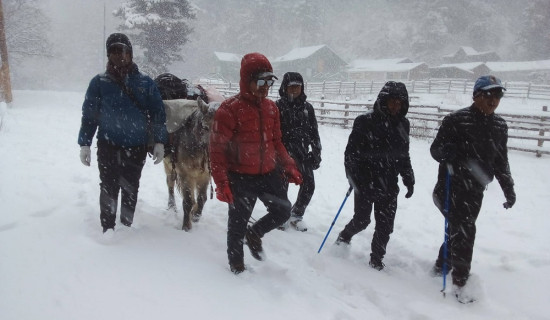 हिमपातले रारा जाने सडक अवरुद्ध, सवारीसाधन अलपत्र