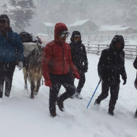 महोत्तरीमा जेनजीको राजनीतिक प्रवेश, आठ युवा उम्मेदवार