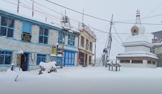 हिमपात र वर्षा भएपछि लमजुङका किसान खुसी