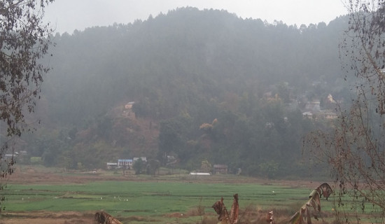 लिखित एजेन्डा कार्यान्वयन गर्ने उम्मेदवारलाई मुसहर समुदायको मत