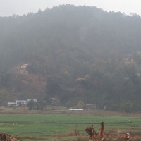 गाउँभरि तरकारी खेती   ‘सिजन’मा नौ करोड आम्दानी