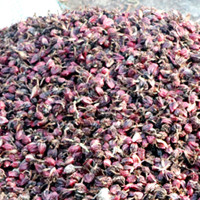 लिखित एजेन्डा कार्यान्वयन गर्ने उम्मेदवारलाई मुसहर समुदायको मत