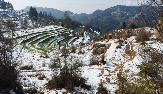 लिखित एजेन्डा कार्यान्वयन गर्ने उम्मेदवारलाई मुसहर समुदायको मत