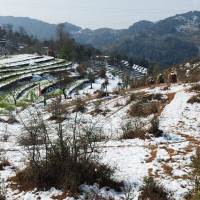 सिराहा–४ मा पाँच पूर्वमन्त्रीलाई रास्वपाको चुनौती