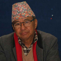 मधेश कांग्रेसको जन्मभूमि हो : सभापति थापा