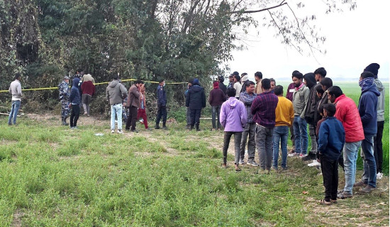 एकीकृत प्रणालीबाट चाँडो विकास सम्भव