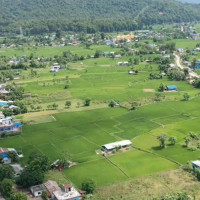 सरकारको प्राथमिकता चुनाव हो : प्रवक्ता खरेल