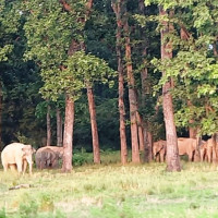 कांग्रेसको १५ औं महाधिवेशन वैशाख २८ देखि ३१ गतेसम्म  काठमाडौँमा हुने
