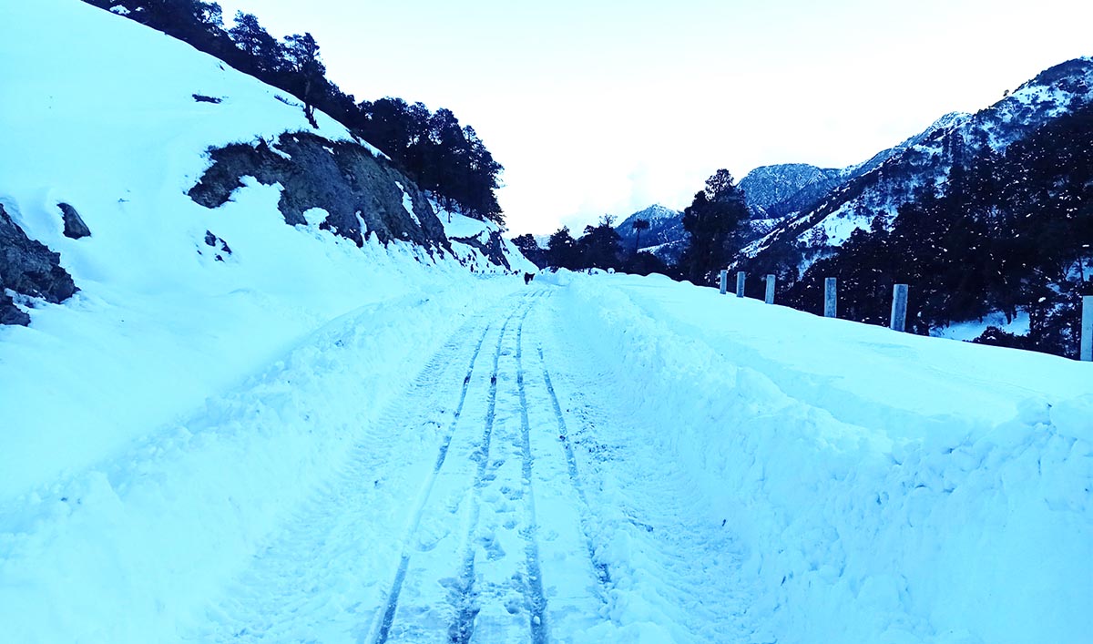 भारी हिमपातका कारण अलपत्र यात्रुको उद्धार