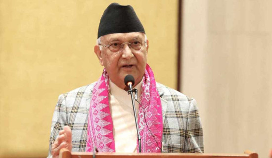 फूलैफूलको बगैँचाले चिटिक्क धरान (फोटो फिचर)