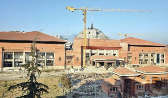 पशुमा पनि बाँझोपन