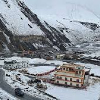 पशुमा पनि बाँझोपन