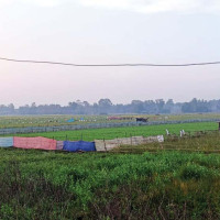 काबेली–३ जलविद्युत आयोजना अन्तिम चरणमा