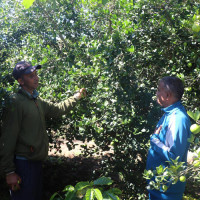 यस्तो छ आजका लागि निर्धारित विदेशी मुद्राको विनिमयदर