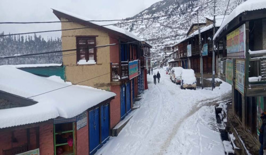 यस्तो छ आजका लागि निर्धारित विदेशी मुद्राको विनिमयदर