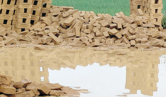 बाल विकासमा पढेका आधा मात्र योग्य