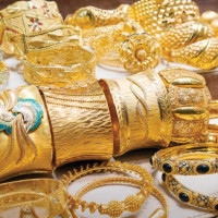 पशुमा आमखोप अभियानको तयारी