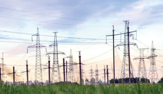 पशुमा आमखोप अभियानको तयारी