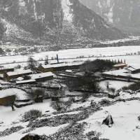 कोरोना झस्काउँदै कोरोना बिमा