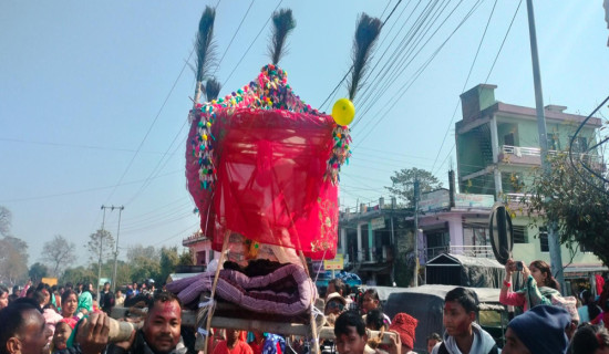 आधुनिकतासँगै सङ्कटमा पर्‍यो राना थारू समुदायको डोली–चन्डोल बोक्ने परम्परा