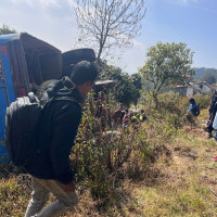 मेलुङका किसान व्यावसायिक गाईपालनतर्फ आकर्षित