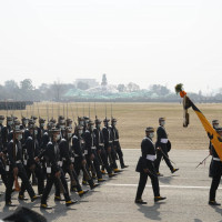 ३८१ पदका लागि विज्ञापन