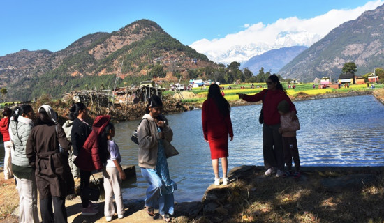 सट्टेबाजी बजारमा चलखेल : नोबेल पुरस्कारको गोपनीयतामा प्रश्न