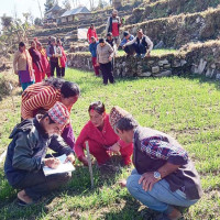 अनलाइन ठगीको पासो