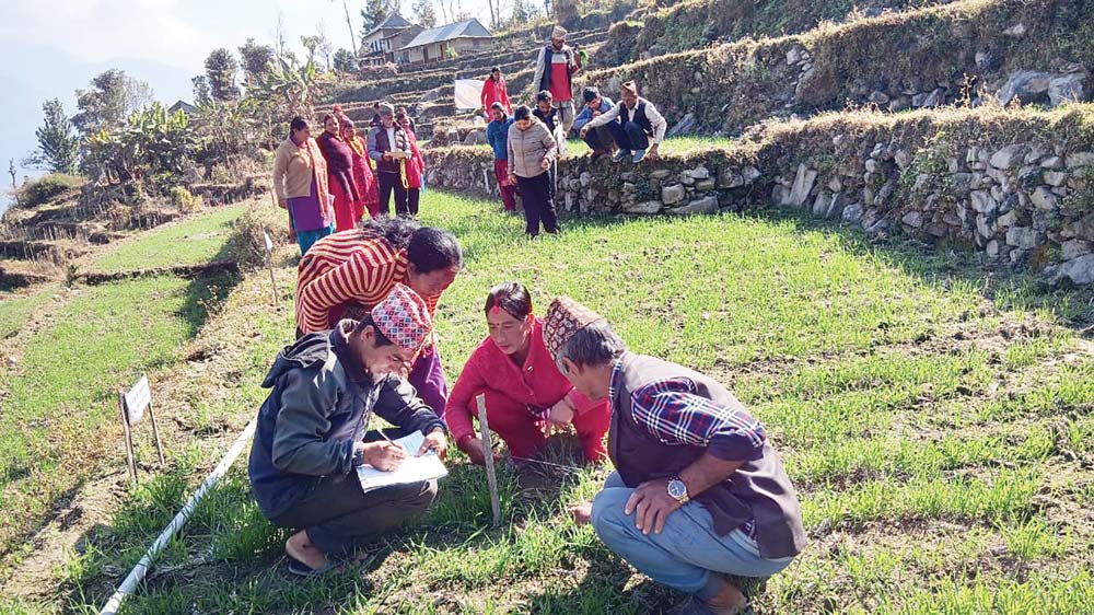 कोदालो चलाउने हातमा किताब, कापी